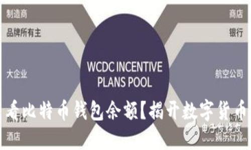 如何快速查看比特币钱包余额？揭开数字货币的神秘面纱