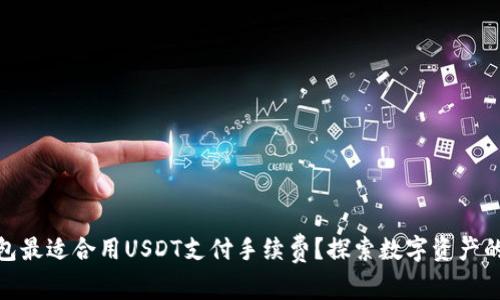 哪种钱包最适合用USDT支付手续费？探索数字资产的新选择
