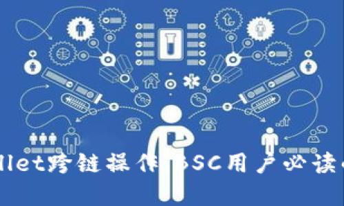 掌握TPWallet跨链操作：BSC用户必读的完整指南